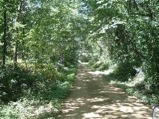 these canopied areas offer great relief from the hea