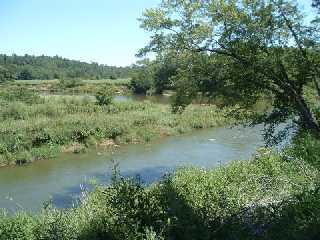 the Red Cedar trail overlooks scenic areas of the river