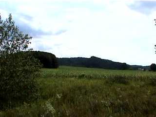 beautiful rolling hills of Wisconsin