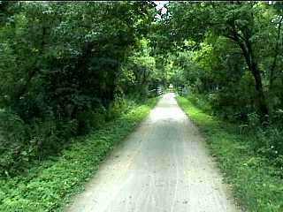 A wooded section along the Elroy Sparta Trail