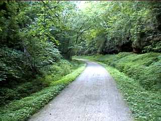 Green scenery along the ES Trail